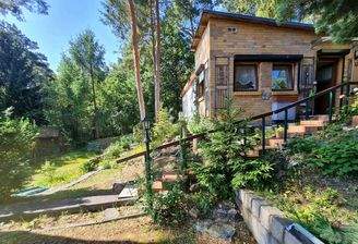 Wald hinter dem Grundstück