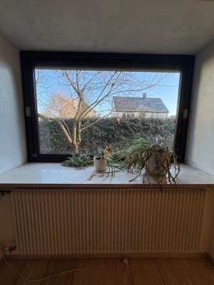 Esszimmerfenster OSTEN