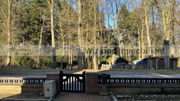 Der Wald direkt vor der Tür !