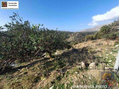 Agia Galini Grundstücke, Agia Galini Grundstück kaufen