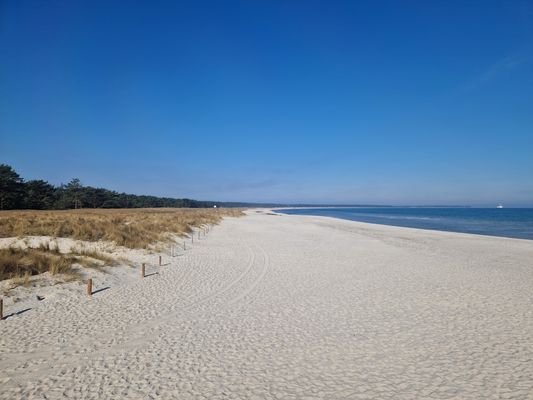 Strand Prerow