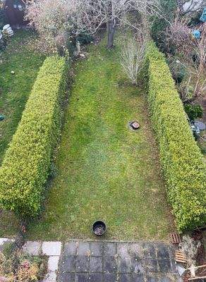 5 schöne Hecken zum Nachbarn.jpg