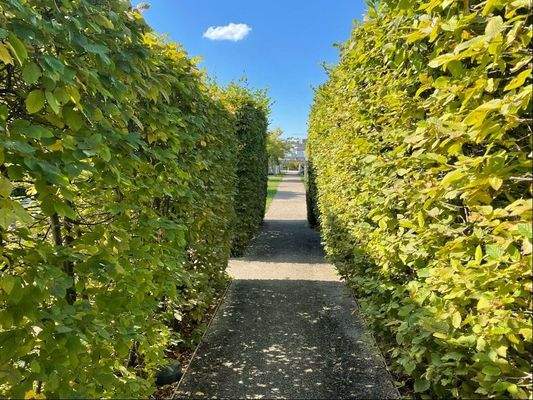 Dach der Nachbarschaft ...