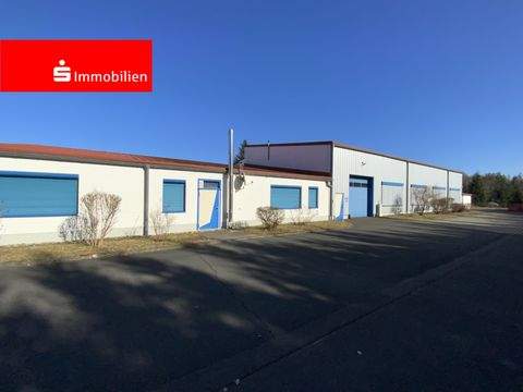 Suhl Halle, Suhl Hallenfläche