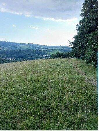 Neulengbach Grundstücke, Neulengbach Grundstück kaufen