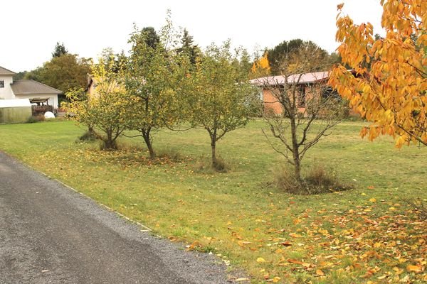 kleine Obstbäume auf dem Grundstück