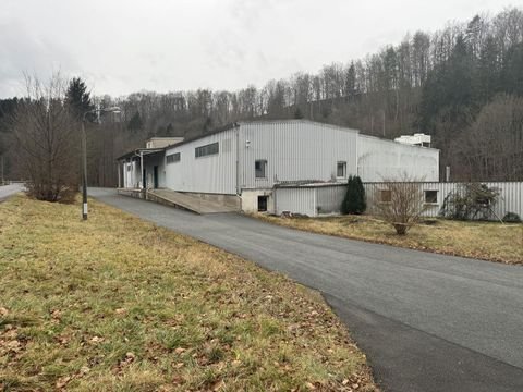 Großrückerswalde / OT Boden Halle, Großrückerswalde / OT Boden Hallenfläche