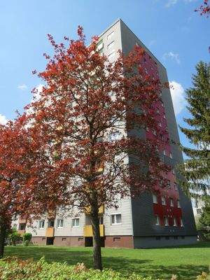 Kapitalanlage oder Eigenheim