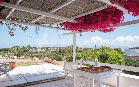 Santa Maria, Paros Wohnungen, Santa Maria, Paros Wohnung kaufen