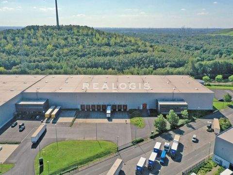 Herten Halle, Herten Hallenfläche