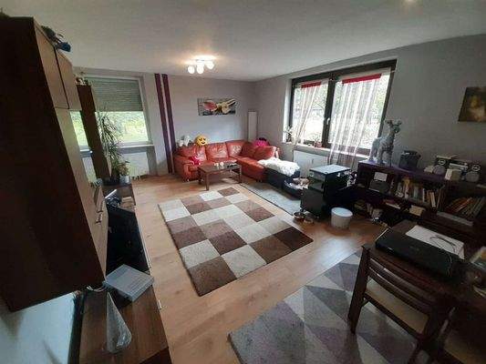 Wohnzimmer Anbau 54 m²