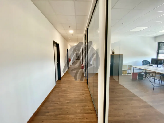 INFOS UNTER: 06171-586000