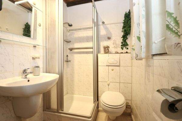 funktionales Tageslicht-Duschbad