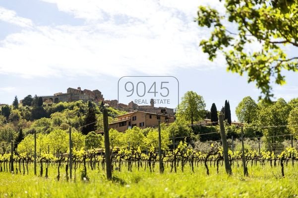 Bio-Zertifiziertes Weingut im Herzen von der Toskana - Montepulciano