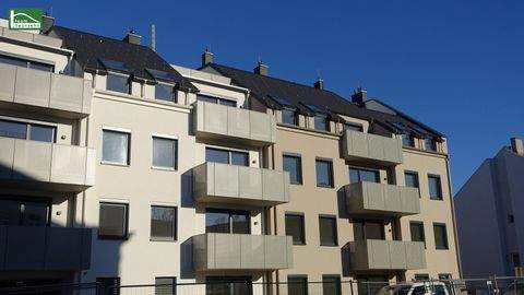 St. Pölten Halle, St. Pölten Hallenfläche