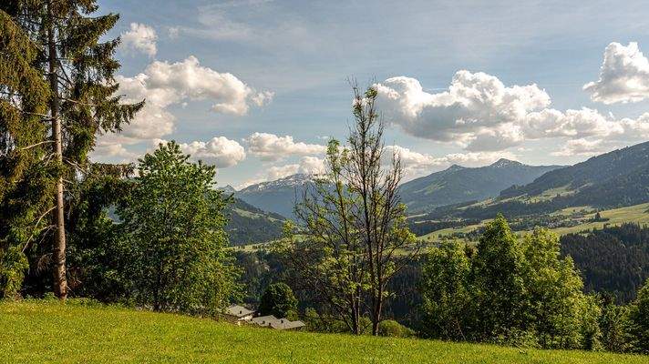 KITZIMMO-Grundstück mit Baugenehmigung für 2 Luxuschalets - Immobilien Itter kaufen.