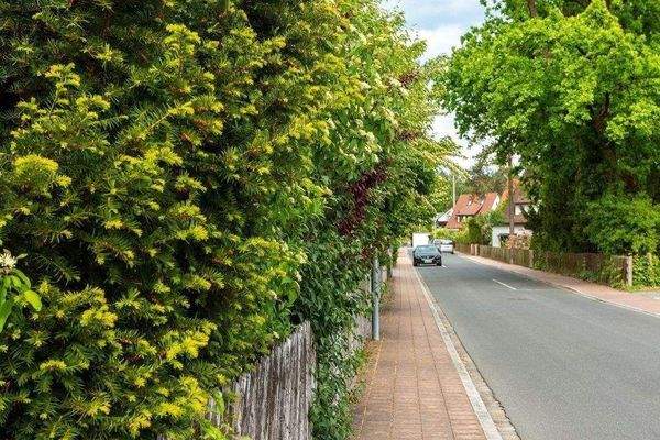 Am Sailersberg - Umgebungsbild.jpg