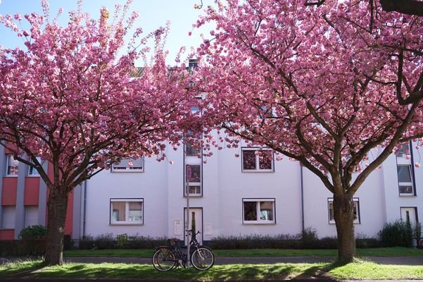 Krefeld-Bockum