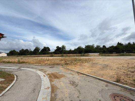 processed-D1416DFF-5DF9-4AD7-AD25-361A1B6EAE23