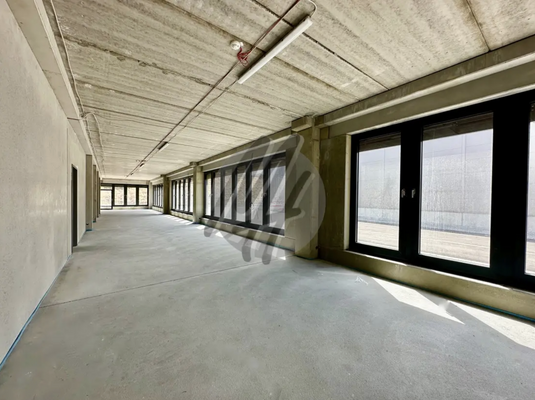 INFOS UNTER: 06171-586000