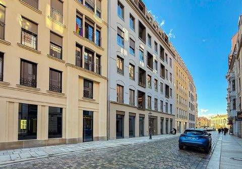 Dresden Ladenlokale, Ladenflächen 