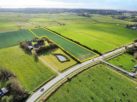 Sankt Peter-Ording Bauernhöfe, Landwirtschaft, Sankt Peter-Ording Forstwirtschaft