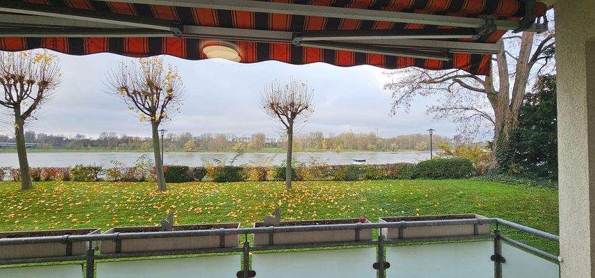 Blick vom Balkon auf den Rhein!