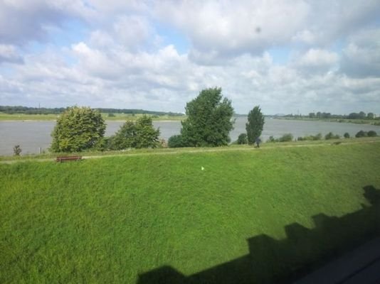 Deich und Rhein