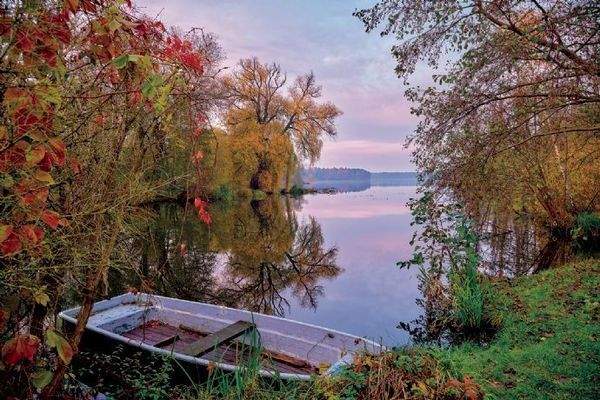 Storkower See Ufer bei Hubertushöhe