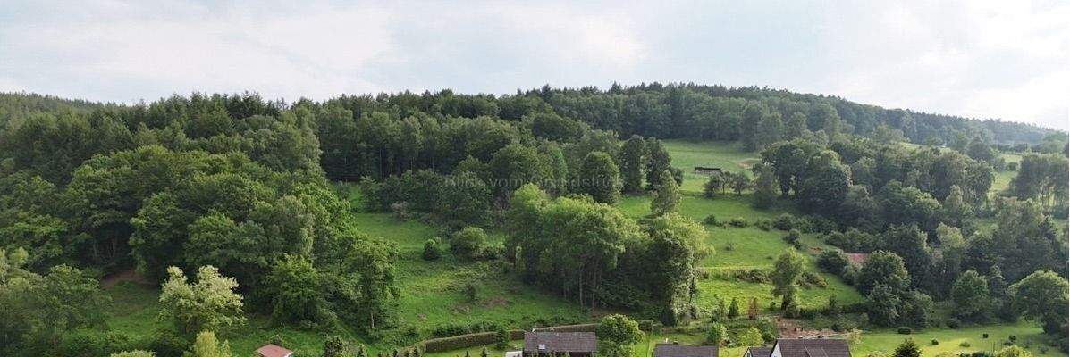 Blick vom Grundstück