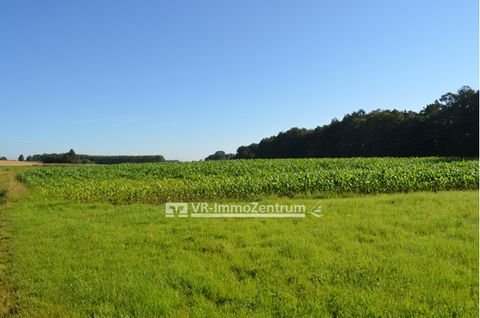 Beuerbach Bauernhöfe, Landwirtschaft, Beuerbach Forstwirtschaft