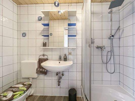 Haupthaus 1. Obergeschoss Appartement DU/WC