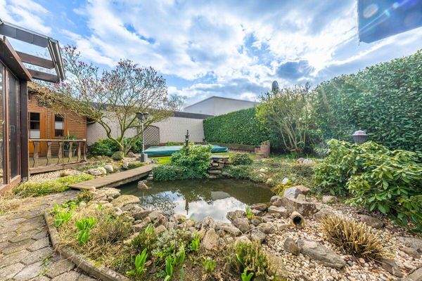 und den Fischen zuschauen