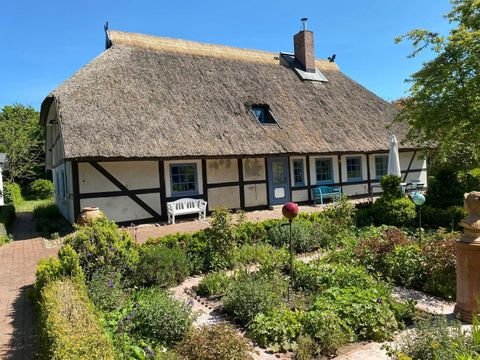 Velgast Häuser, Velgast Haus kaufen