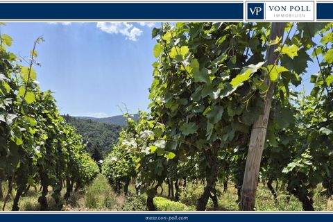 Bad Neuenahr-Ahrweiler Bauernhöfe, Landwirtschaft, Bad Neuenahr-Ahrweiler Forstwirtschaft