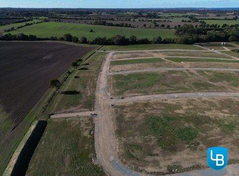 Schönberg (Holstein) Grundstücke, Schönberg (Holstein) Grundstück kaufen