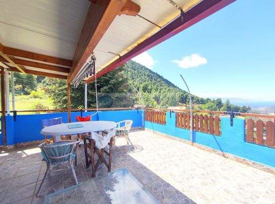 img_39751ba2-1a17-4103-9dba-c0b18d9bf394