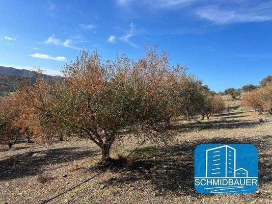 Kreta, Sivas: Grundstück am Ortsrand mit 360-Grad-Aussicht zu verkaufen