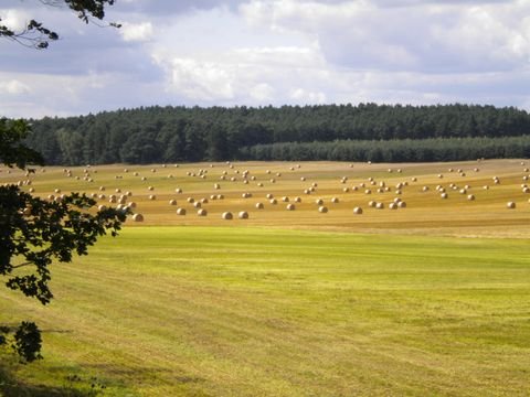 Philadelphia/Storkow Bauernhöfe, Landwirtschaft, Philadelphia/Storkow Forstwirtschaft