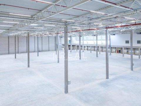 Bitburg Halle, Bitburg Hallenfläche