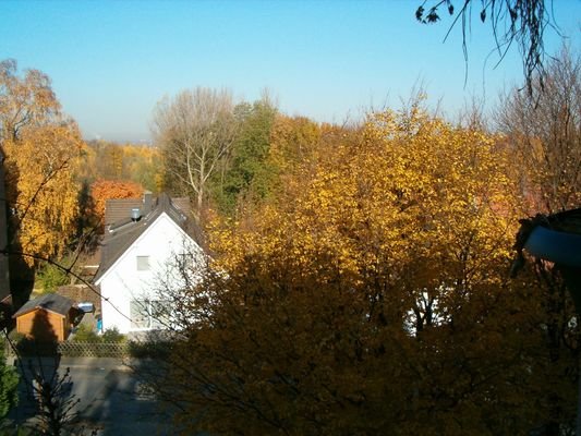 Blick vom Balkon