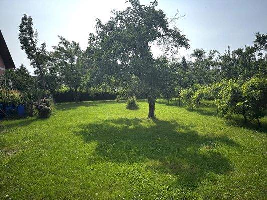 schönes ebenes Baugrundstück