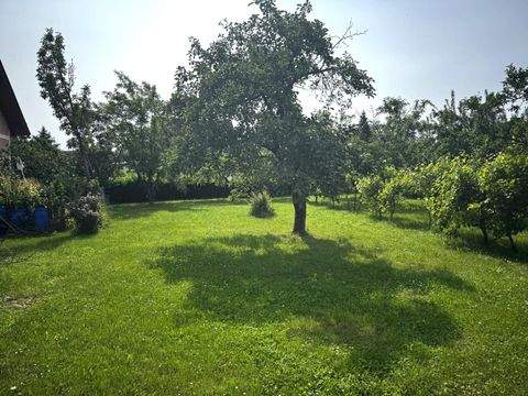 Ternitz Grundstücke, Ternitz Grundstück kaufen