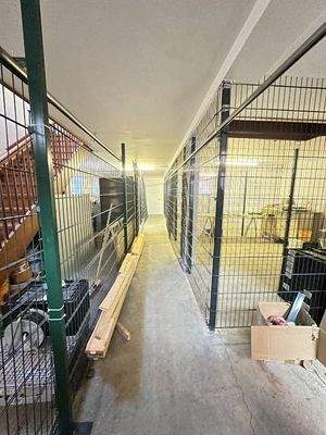 2026-03-03_14-16-33_816