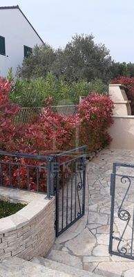 Eine Oase der Glückseligkeit