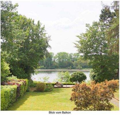 Bilder EFH DHH RS (12).jpeg