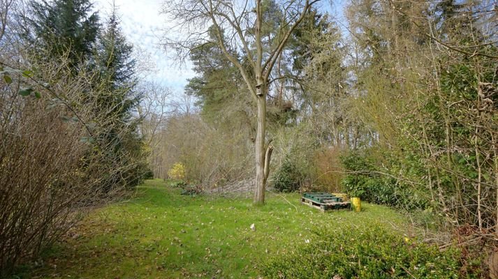 Garten - hinterer Teil