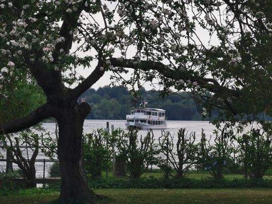  Von Garten zum Dom. Einsteigen bitte