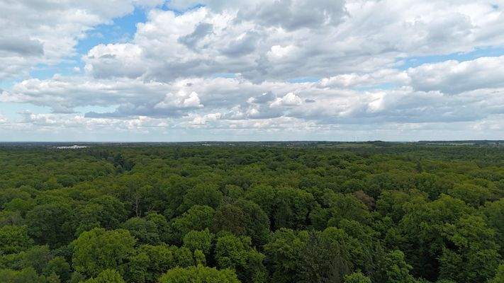 Drohnenbild / Natur pur