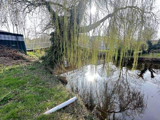 2026-03-23_15-32-57_180